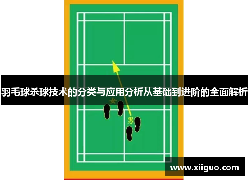 羽毛球杀球技术的分类与应用分析从基础到进阶的全面解析