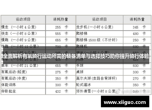 全面解析有氧骑行运动所需的装备清单与选择技巧助你提升骑行体验
