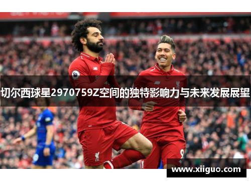 切尔西球星2970759Z空间的独特影响力与未来发展展望