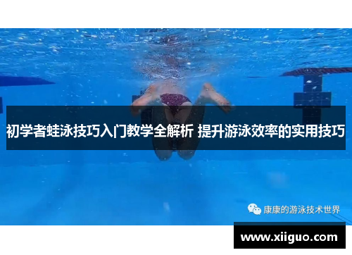 初学者蛙泳技巧入门教学全解析 提升游泳效率的实用技巧