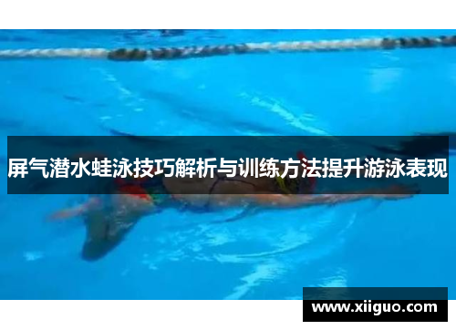 屏气潜水蛙泳技巧解析与训练方法提升游泳表现