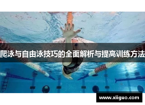 爬泳与自由泳技巧的全面解析与提高训练方法