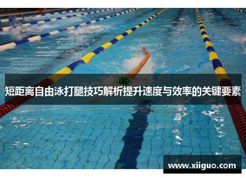 短距离自由泳打腿技巧解析提升速度与效率的关键要素