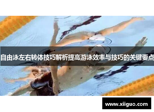 自由泳左右转体技巧解析提高游泳效率与技巧的关键要点