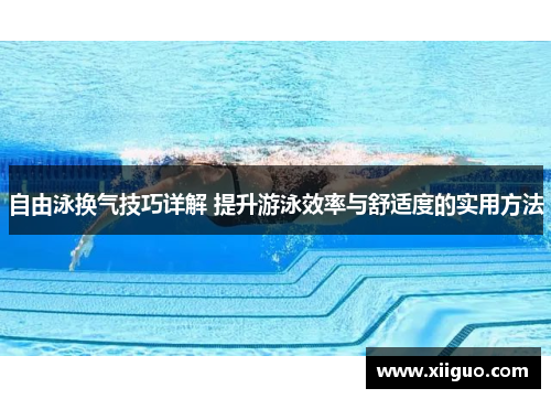 自由泳换气技巧详解 提升游泳效率与舒适度的实用方法