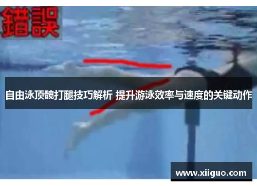 自由泳顶髋打腿技巧解析 提升游泳效率与速度的关键动作