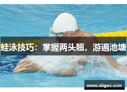 蛙泳技巧：掌握两头翘，游遍池塘