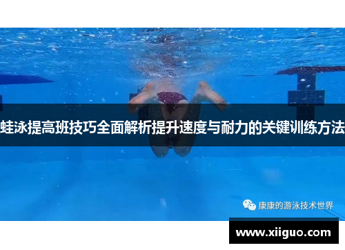 蛙泳提高班技巧全面解析提升速度与耐力的关键训练方法